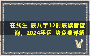 在线生  辰八字12时辰读音查询，2024年运  势免费详解，真的超级准吗